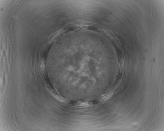 X0000075900623200609151413