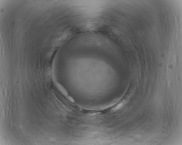 X0000075900624200609151413