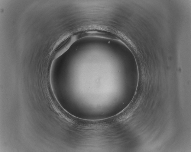 X0000075900625200609151412