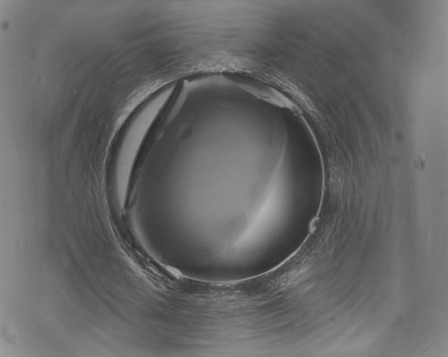 X0000075900626200609151412