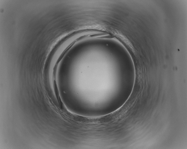 X0000075900628200609151412