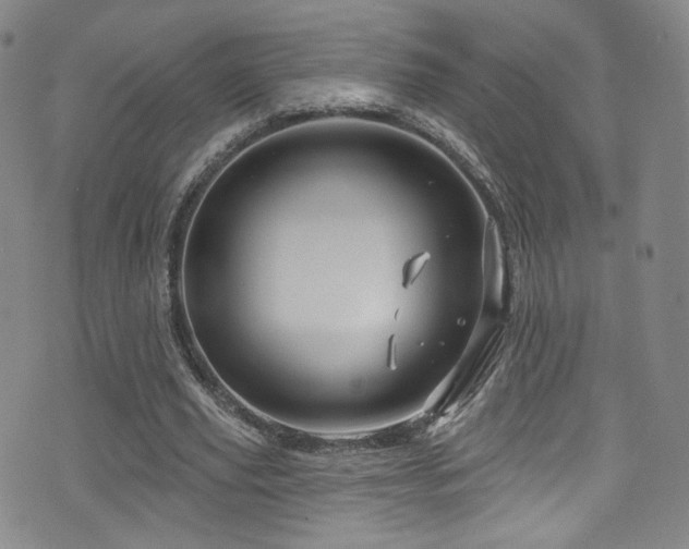 X0000075900629200609151412