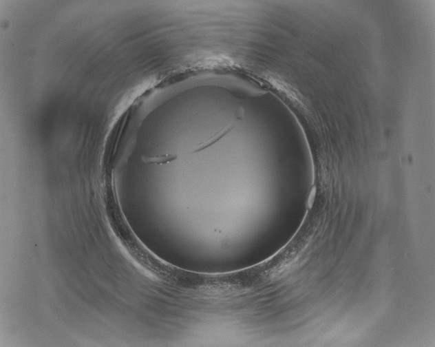 X0000075900630200609151412