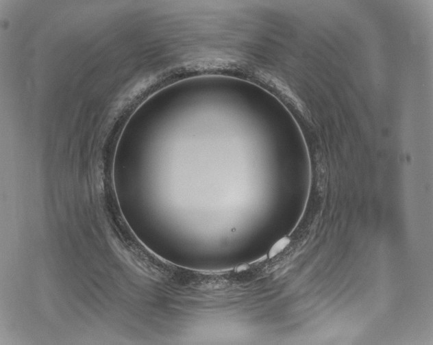 X0000075900631200609151412