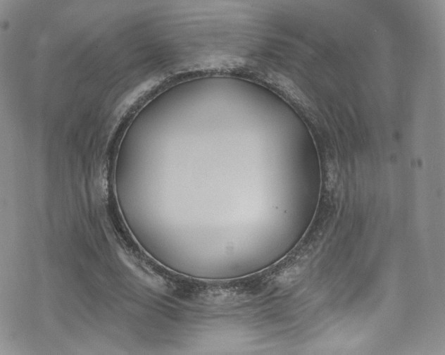 X0000075900632200609151412