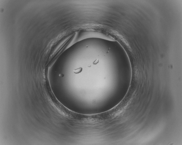 X0000075900633200609151412