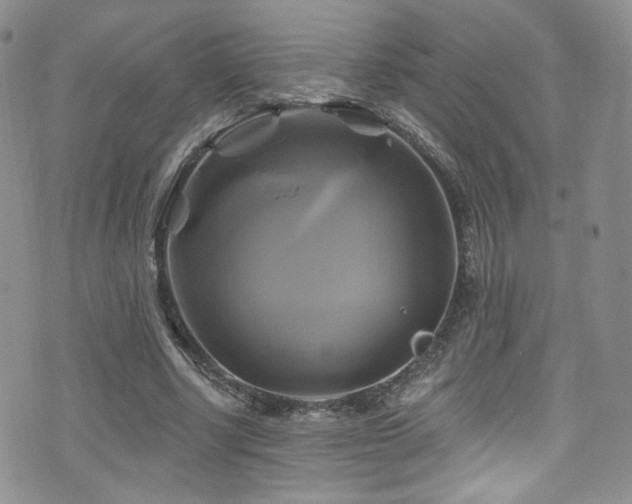 X0000075900634200609151412