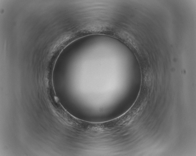 X0000075900635200609151412