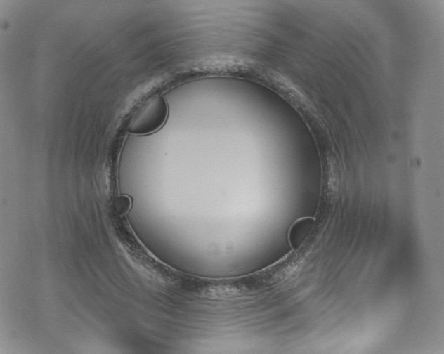 X0000075900636200609151412