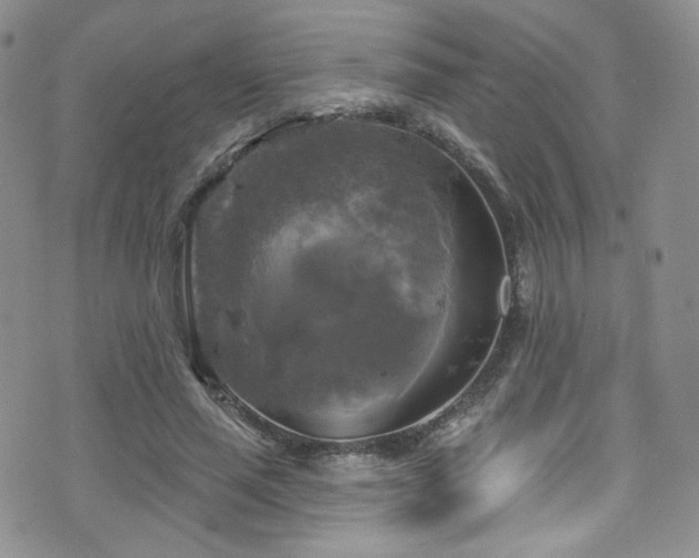 X0000075900637200609151412