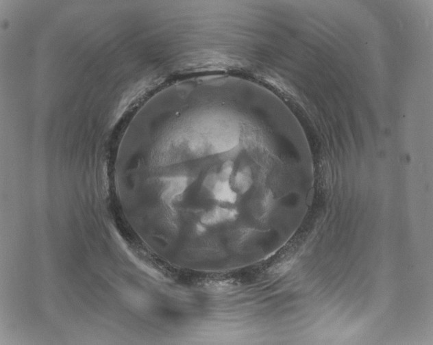 X0000075900638200609151412