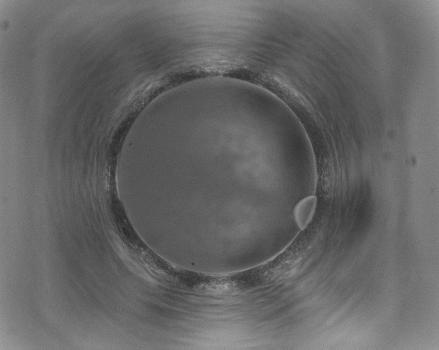 X0000075900639200609151412