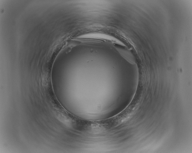 X0000075900641200609151412