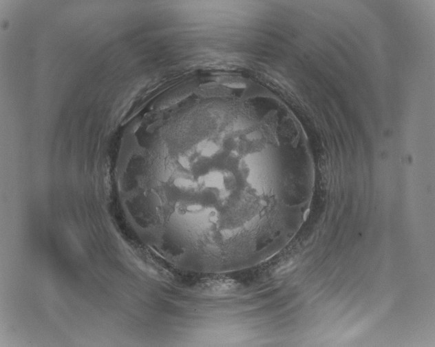 X0000075900642200609151412