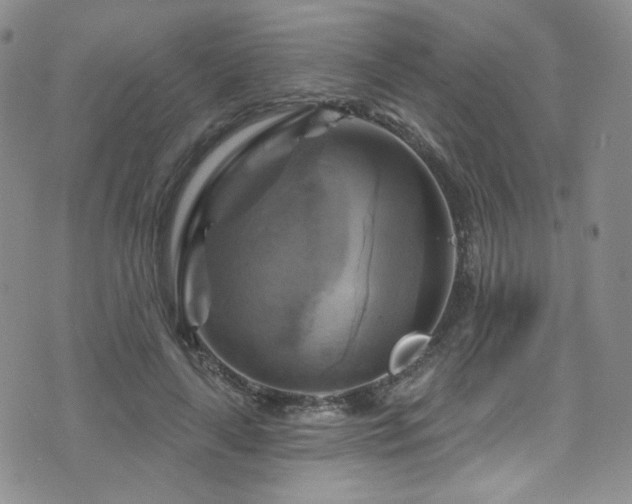 X0000075900643200609151412