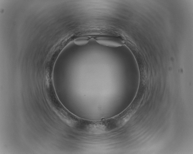 X0000075900644200609151412