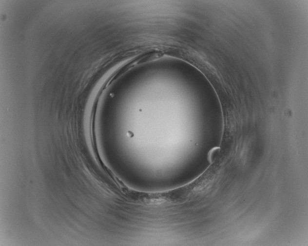 X0000075900645200609151412