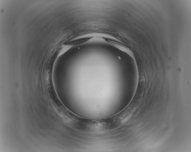 X0000075900646200609151412