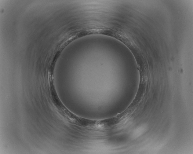 X0000075900647200609151412