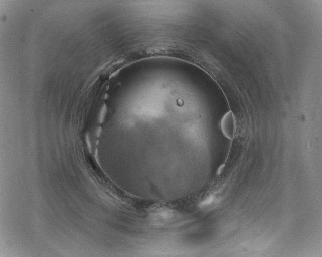 X0000075900648200609151412