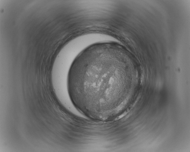 X0000075900649200609151412