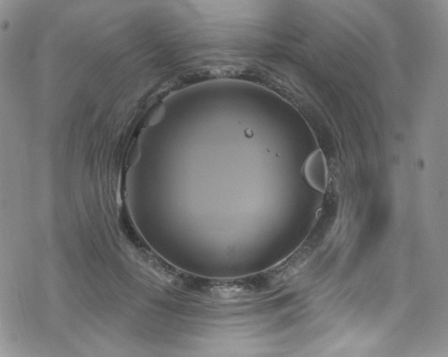 X0000075900650200609151412