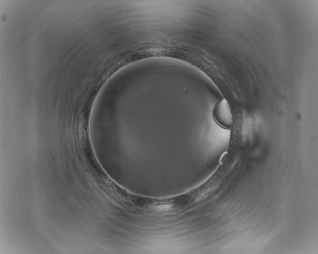 X0000075900651200609151412