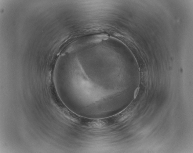 X0000075900652200609151413