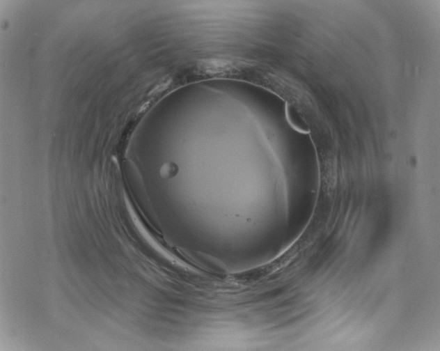 X0000075900653200609151413