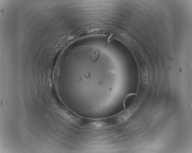 X0000075900654200609151413