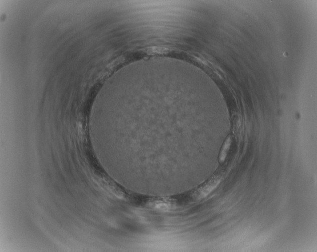 X0000075900655200609151413