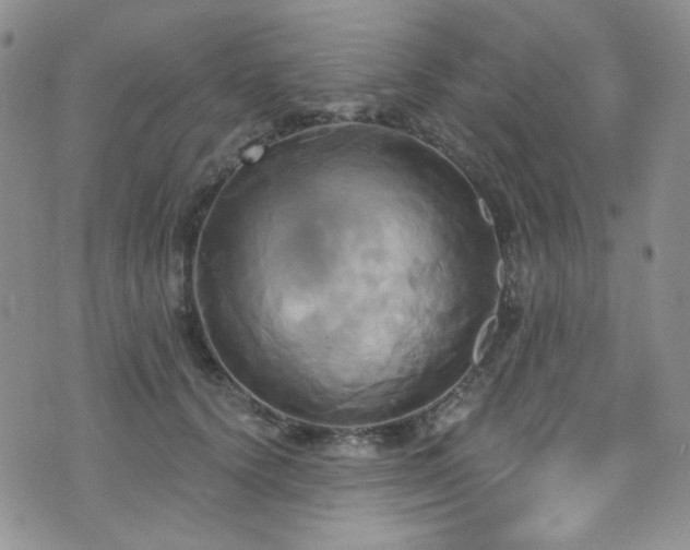 X0000075900656200609151413