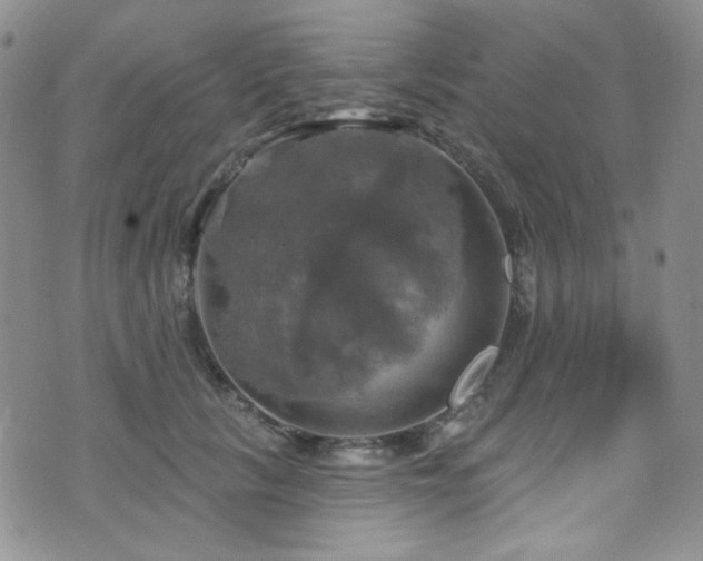 X0000075900657200609151413