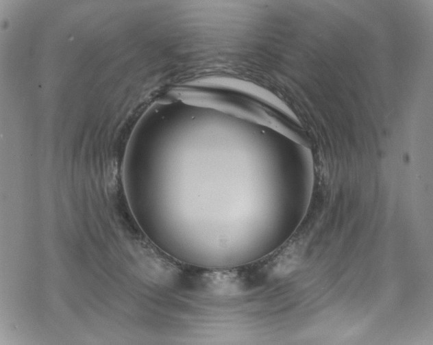 X0000075900660200609151413