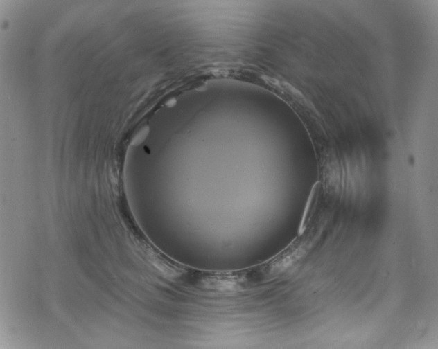 X0000075900661200609151413