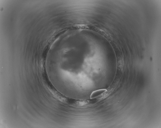 X0000075900662200609151413