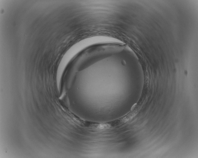 X0000075900663200609151413