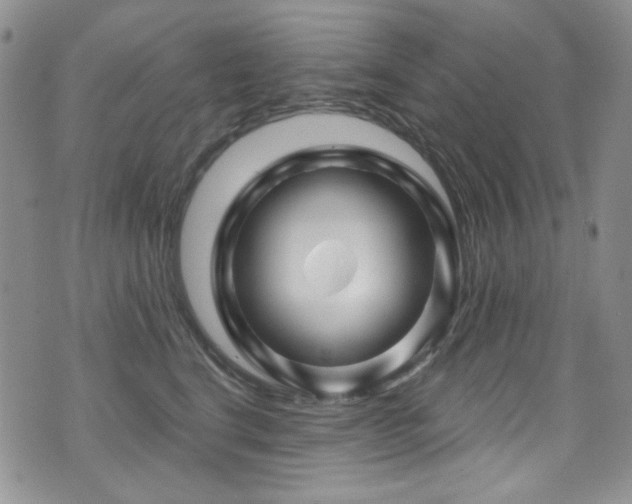 X0000075900664200609151413