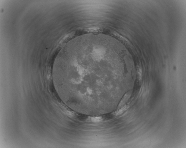 X0000075900665200609151413