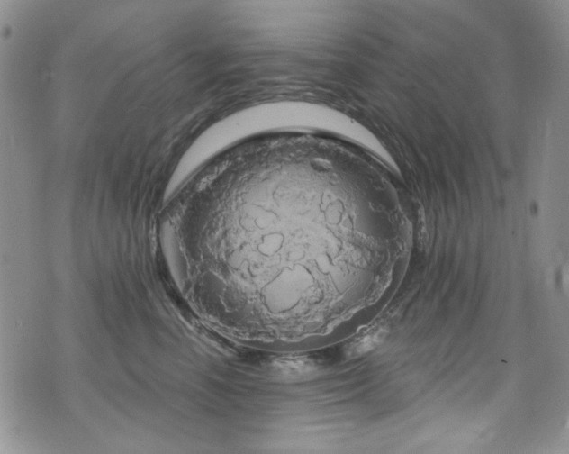 X0000075900666200609151413