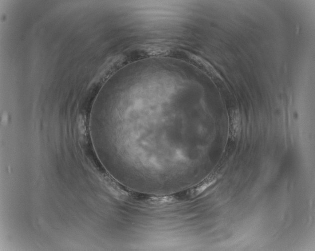 X0000075900667200609151413