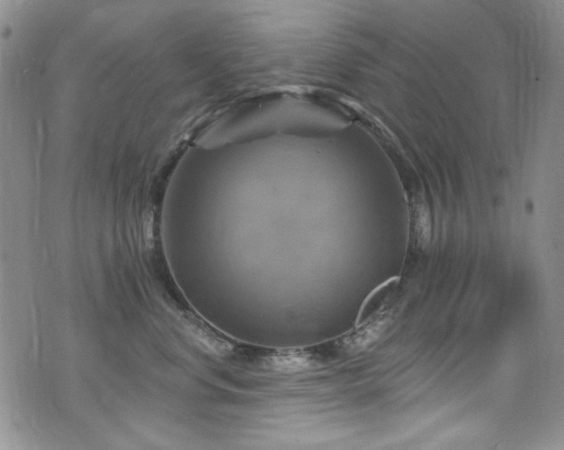 X0000075900668200609151413