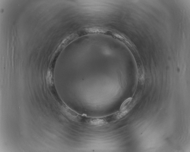 X0000075900669200609151413