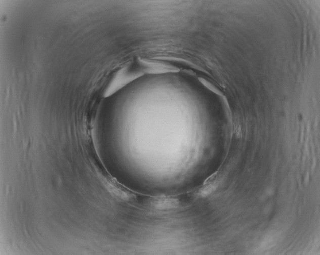 X0000075900670200609151413