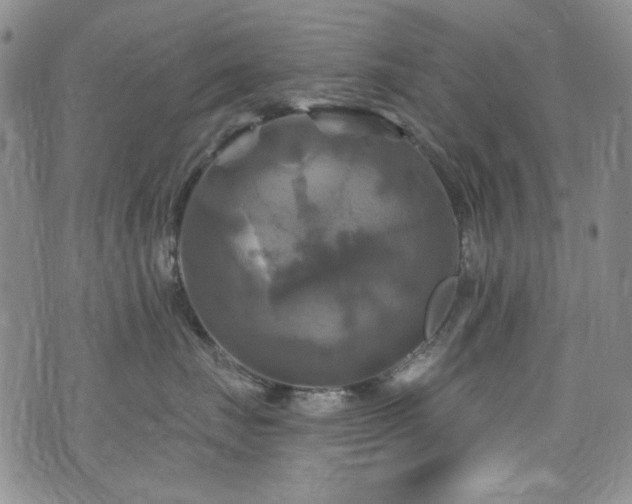 X0000075900671200609151413