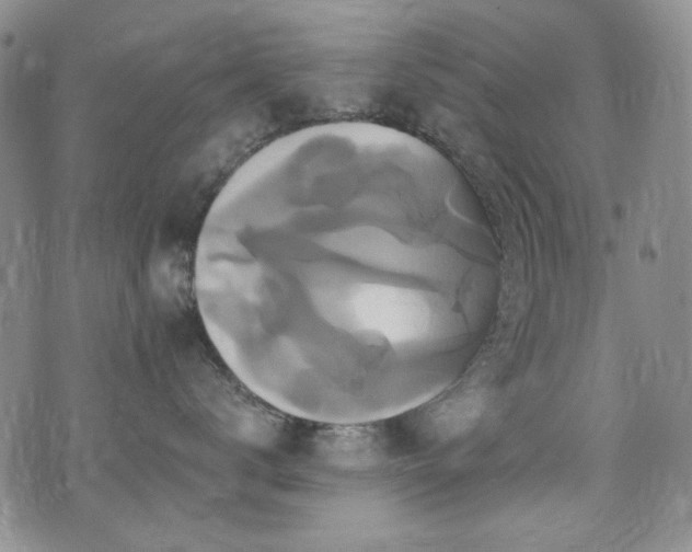 X0000075900672200609151413