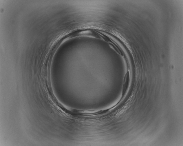 X0000075900673200609151412