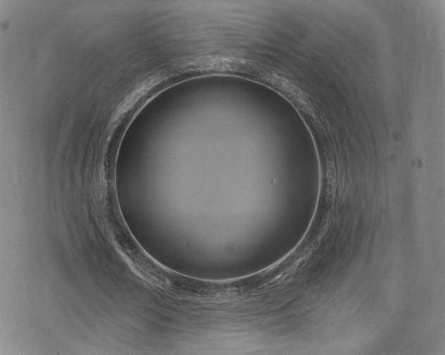 X0000075900674200609151412