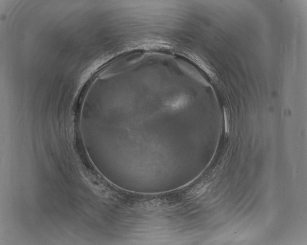 X0000075900675200609151412