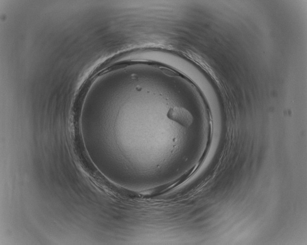 X0000075900676200609151412